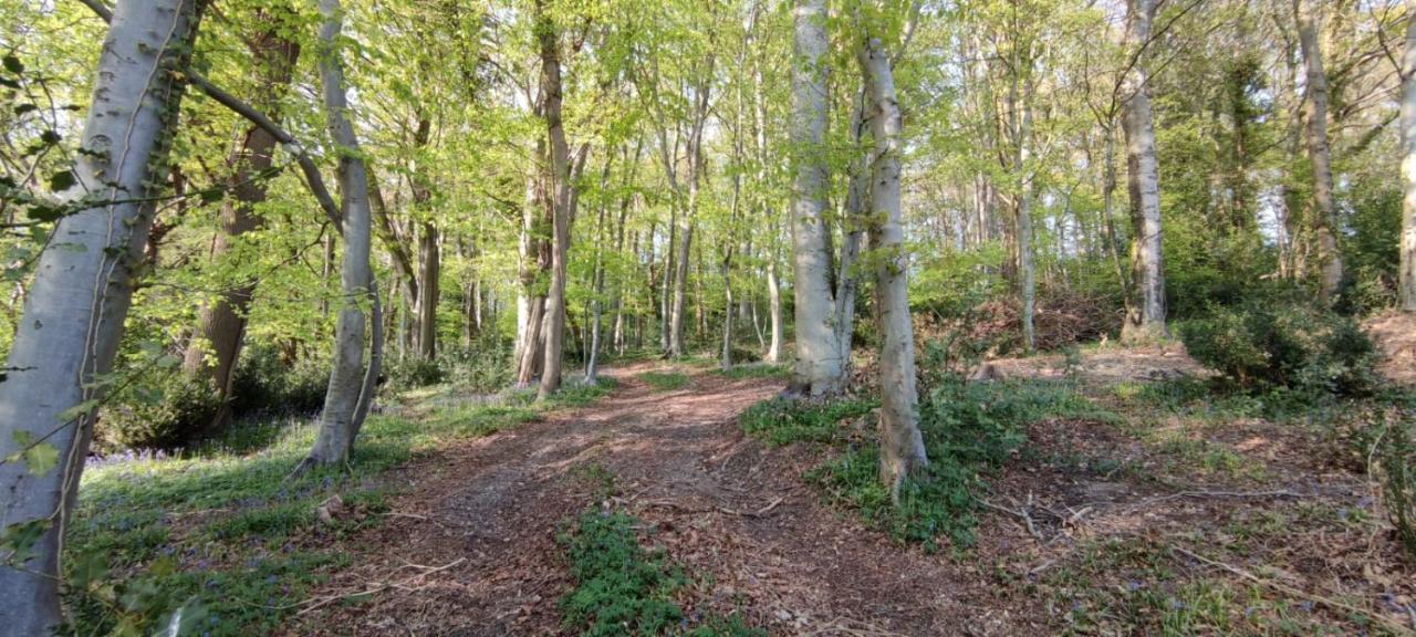 Gites 4,6 Personnes Fecamp Etretat Colleville Eksteriør billede